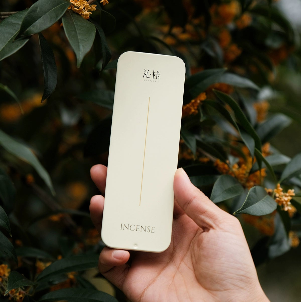 Dragon View Golden Osmanthus - ProductContent