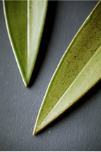 Ceramic Green Bamboo Incense Holder - Yige Bamboo Leaf Ceramic Incense Holder