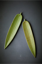 Ceramic Green Bamboo Incense Holder - Yige Bamboo Leaf Ceramic Incense Holder